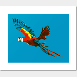 Scarlet Macaw 2 Posters and Art